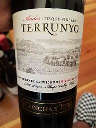 Concha y Toro Cabernet Sauvignon Terrunyo Block Las Terrazas 的图像结果