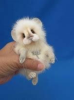 Image result for World's Smallest Stuffed Animal