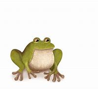 Image result for Dead Frog Drawing