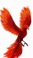 Image result for Mythical Phoenix Bird Art