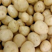 Image result for Yukon Gold Potatoes