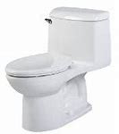 Image result for Toilet Flush 1-Button