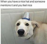 Image result for Doggo with Hat Meme