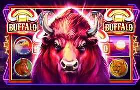 Image result for Free Casino Slot Games for Fun