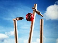 Image result for Middle Stump Wicket