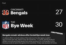 Image result for Bengals Bye Week Memes