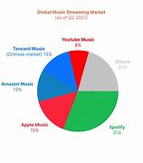 Image result for Streaming Player Market Share