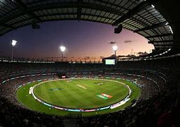 Image result for Cricket Stadium Fans