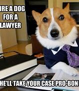 Image result for Doge Lawyer Meme