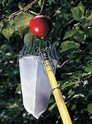 Image result for Apple Picker Tool