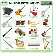 Image result for All Kinds of Instruments