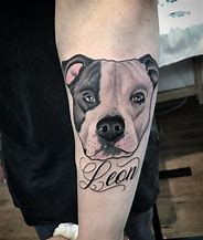 Image result for Pit Bull Tattoos