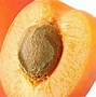 Image result for Growing Apricots From Seed