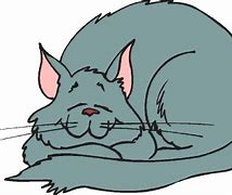 Image result for Funny Cat Sleeping Positions