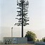Image result for Cell Phone Tower Tree