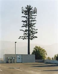 Image result for Cell Tower Tree