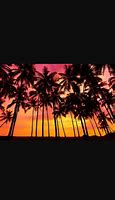 Image result for 8K Sunset Wallpaper