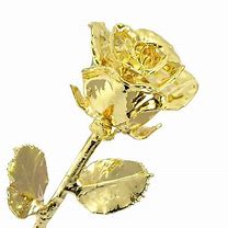 Image result for Gold Stem Roses