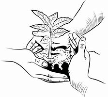 Image result for Planting Drawing