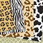 Image result for Different Animal Prints