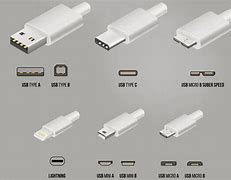 Image result for Kinds of Apple Cord