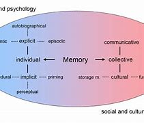 Image result for Types of Human Memory