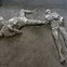 Image result for Famous Pompeii Bodies