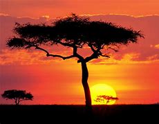 Image result for Beauty of Kenya