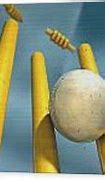 Image result for Wickets Hitting