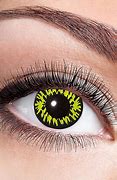Image result for Werewolf Contact Lenses
