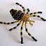 Image result for Beaded Spider Pattern-Free