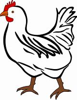 Image result for Chicken Clip Art Black and White