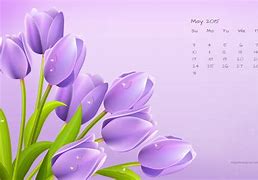 Image result for Free May Calendar Desktop Wallpaper