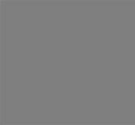 Image result for 50 Percent Gray