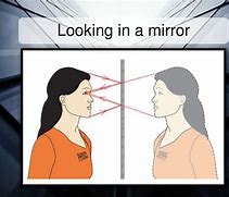 Image result for Reflection On Plane Mirror