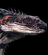 Image result for Dragon Creature Design
