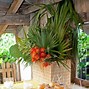 Image result for Caribbean Theme