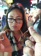 Image result for 5 Live Crickets