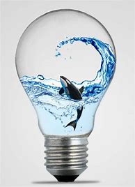 Image result for Light Bulb Art