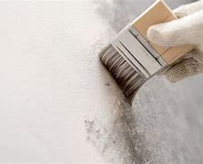 Image result for Frost Resistant Interior Concrete Wall Paint