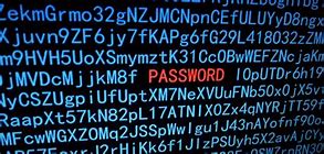 Image result for Password Guessing