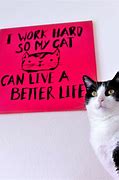 Image result for Cat Meme About Work