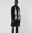 Image result for The Classic Check Cashmere Scarf Burberry