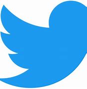 Image result for Nouveau Logo Twitter