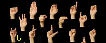 Image result for ASL Handspeak