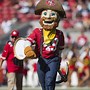 Image result for NFL Mascots