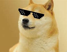 Image result for Doge Meme Thug Life