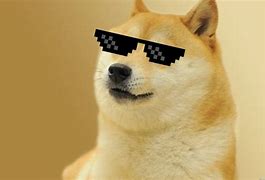 Image result for Doge Meme 4K