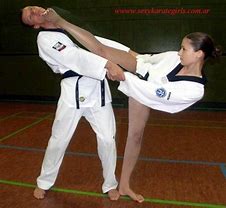 Image result for Martial Arts for Women Groin