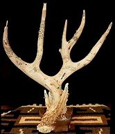 Image result for Antler Jewelry
